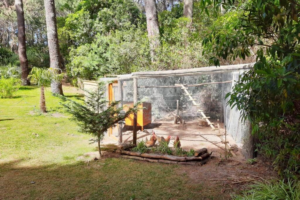 Helles, Modernes Containerhaus * Punta del Este